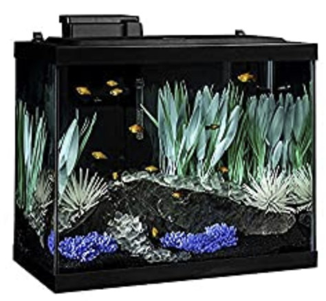 Tetra ColorFusion Aquarium 20 Gallon Fish Tank Kit, Includes LED Lighting and Decor