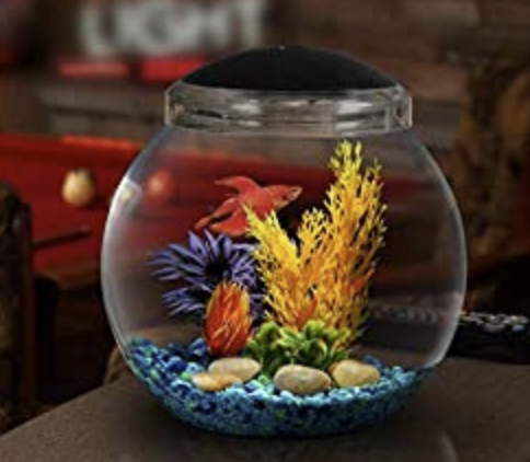 Koller Products 1-Gallon Fish Bowl with LED Lighting (Multiple Color Selections)